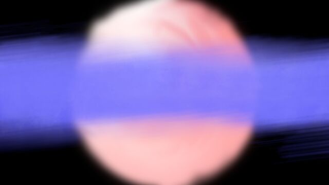 Обои 2026-02-22 №80392