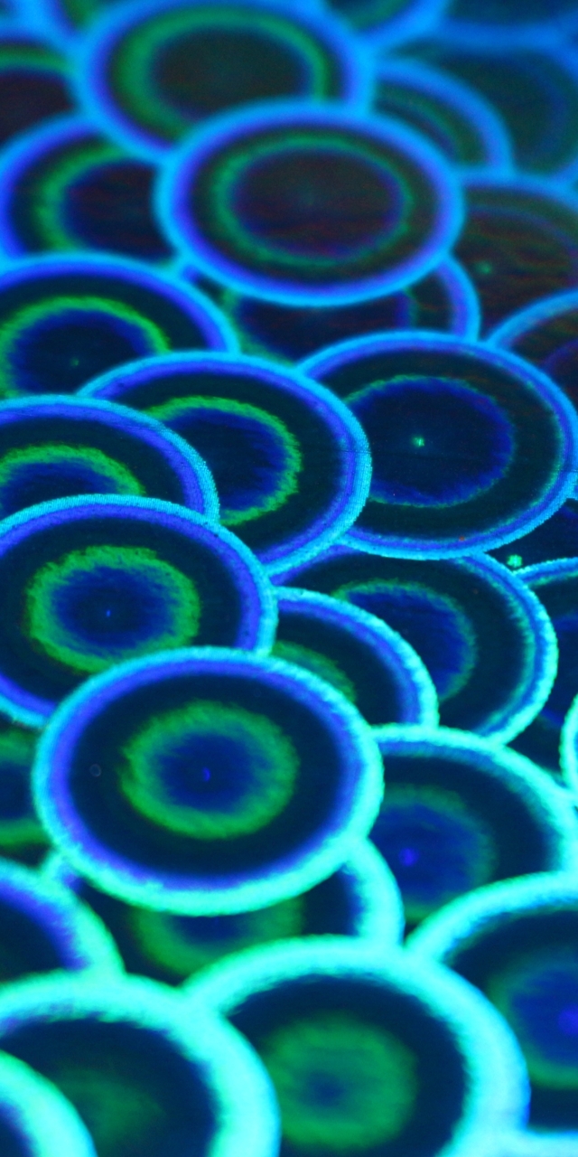 Обои 2026-02-23 №80431