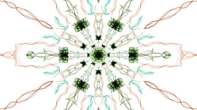 Обои 2026-02-24 №80452