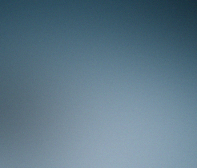 Обои 2026-02-24 №80486