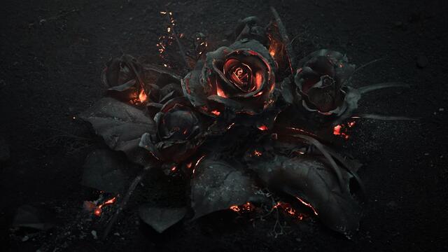 Обои 2026-02-25 №80498