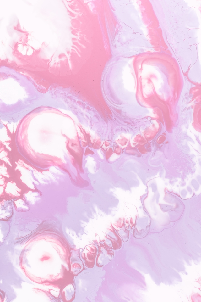 Обои 2026-02-26 №80561