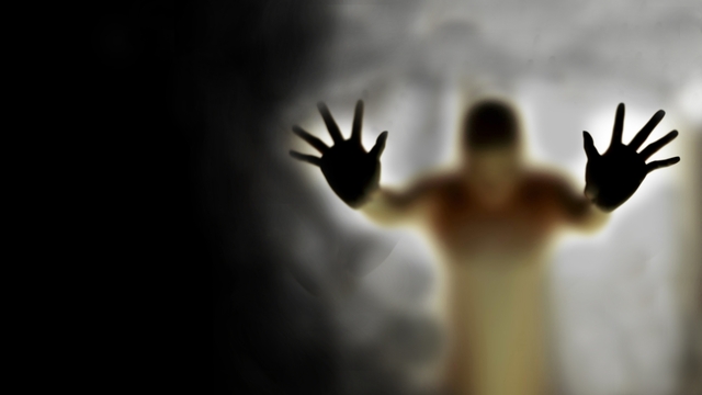 Обои 2026-02-27 №80580