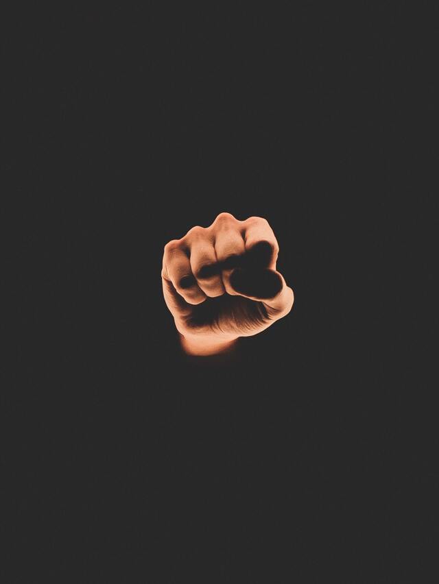 Обои 2026-02-28 №80627