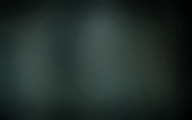 Обои 2026-03-01 №80675