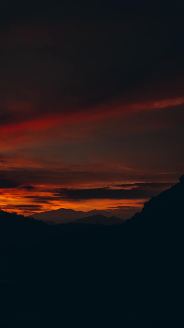 Обои 2026-03-01 №80685