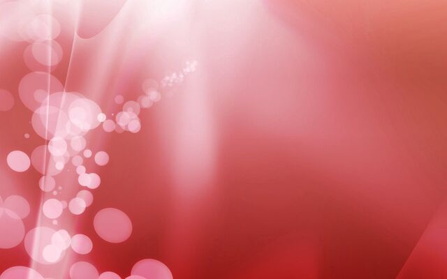 Обои 2026-03-02 №80692