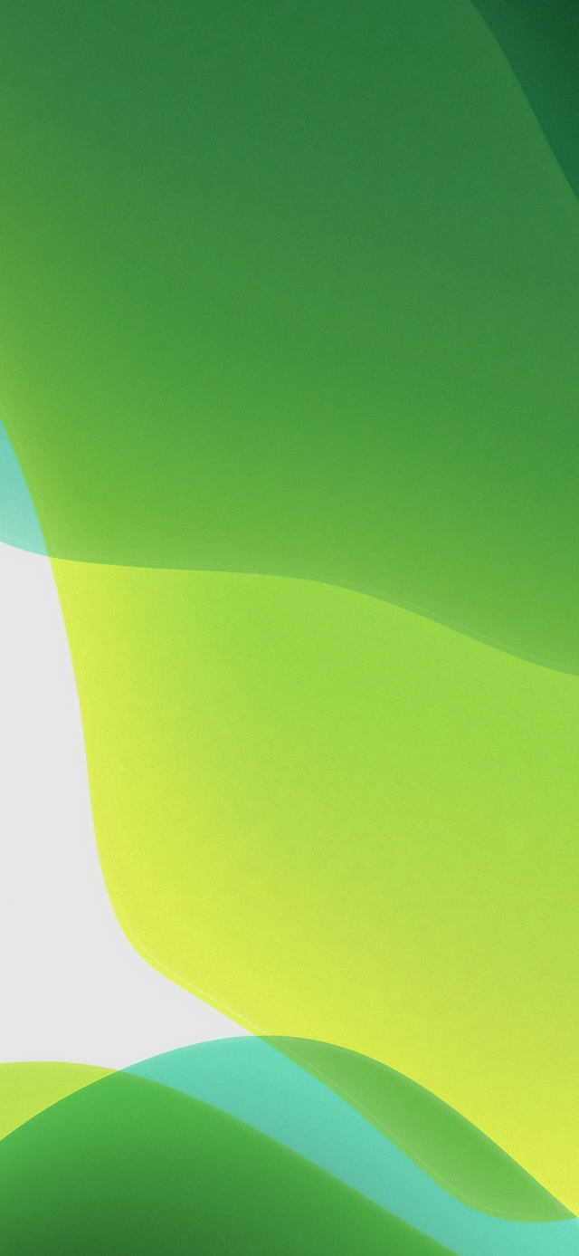 Обои 2026-03-02 №80726