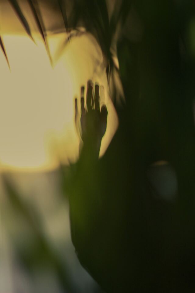 Обои 2026-03-03 №80767