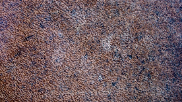 Обои 2026-03-03 №80778