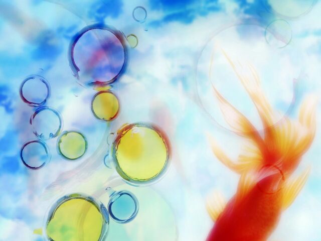 Обои 2026-03-04 №80798