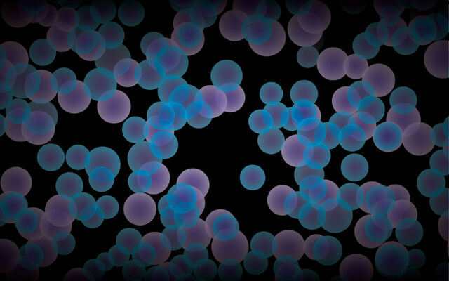 Обои 2026-03-04 №80801