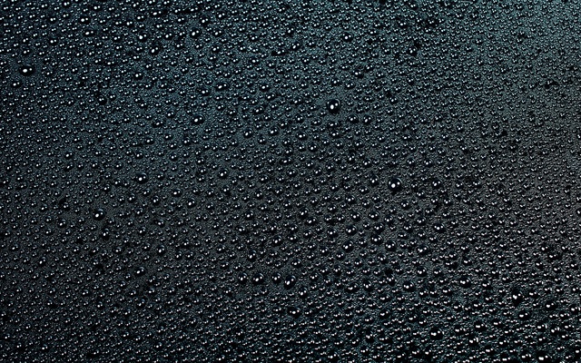 Обои 2026-03-08 №80964