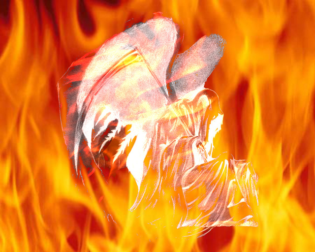 Обои 2026-03-09 №80987