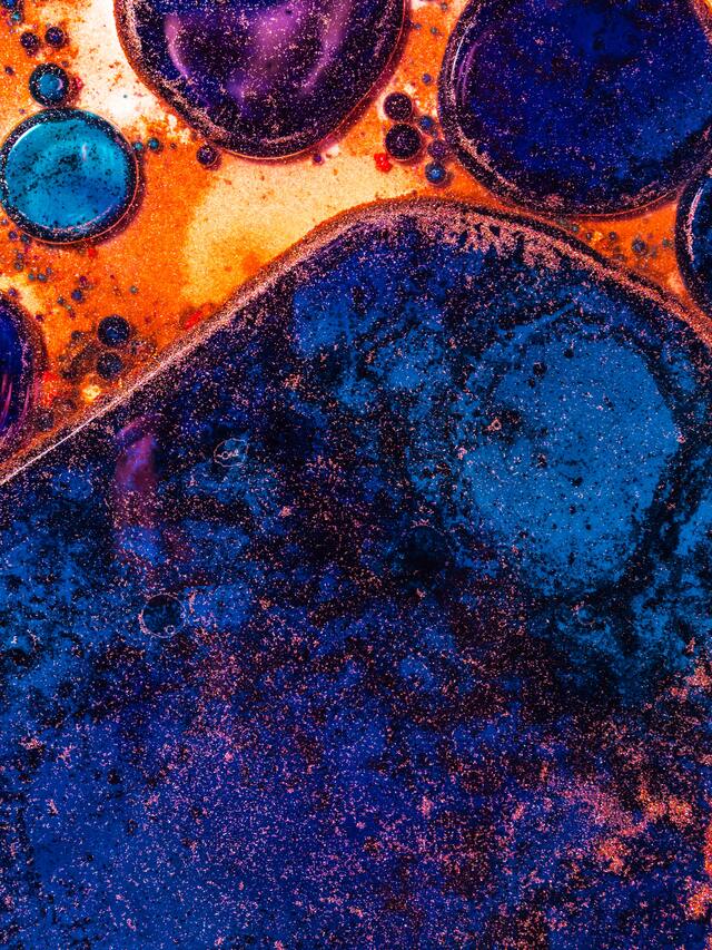 Обои 2026-03-09 №81017