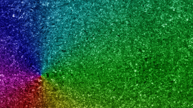 Обои 2026-03-09 №81026