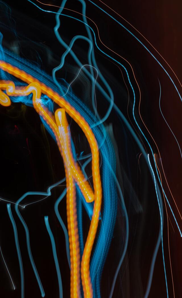 Обои 2026-03-10 №81032