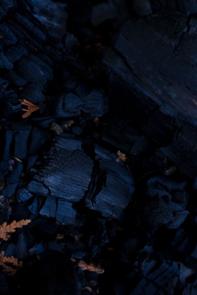 Обои 2026-03-10 №81063