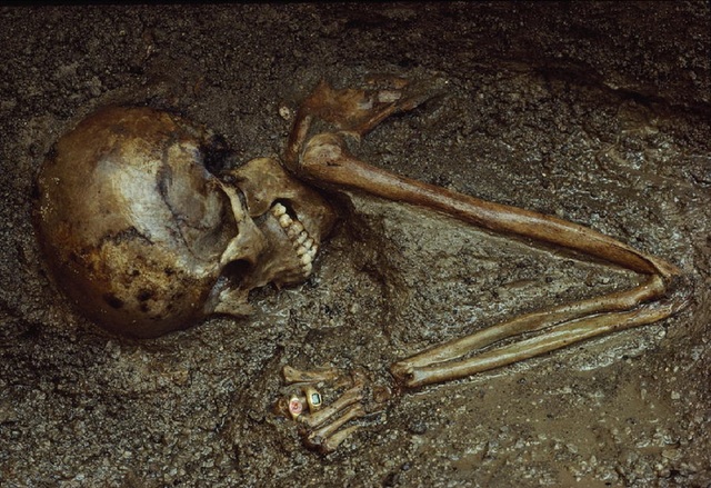 Обои 2026-03-11 №81106