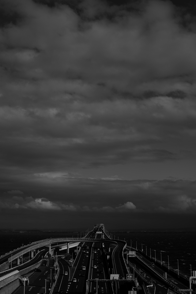 Обои 2026-03-12 №81147