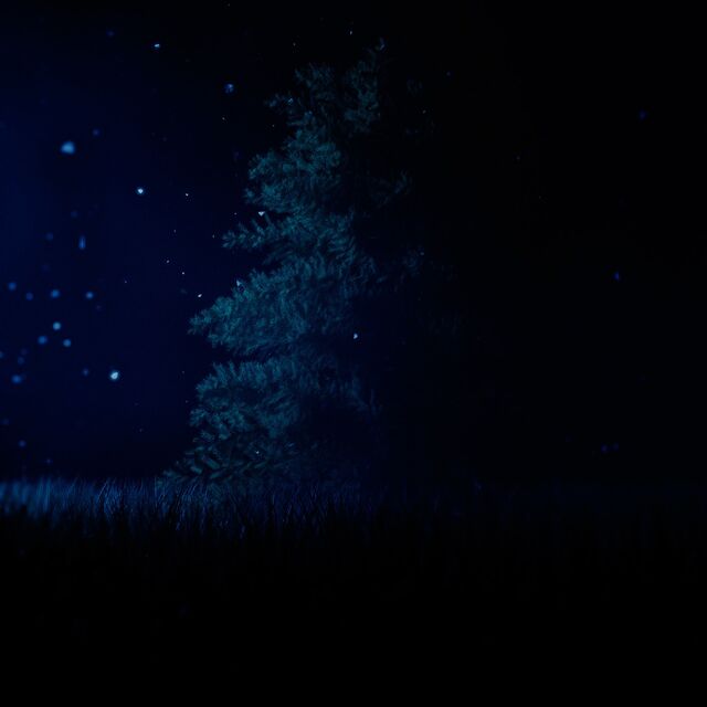 Обои 2026-03-13 №81185