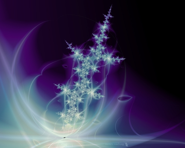 Обои 2026-03-14 №81223