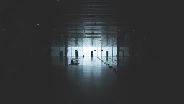 Обои 2026-03-14 №81237