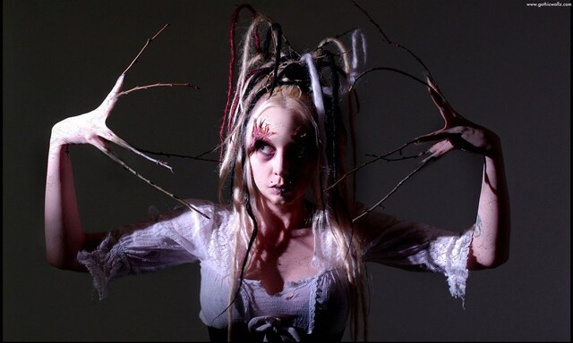 Обои 2026-03-15 №81265