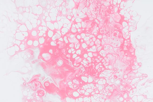 Обои 2026-03-16 №81334