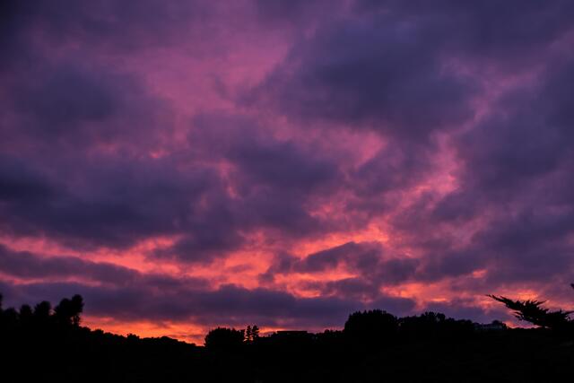 Обои 2026-03-17 №81353