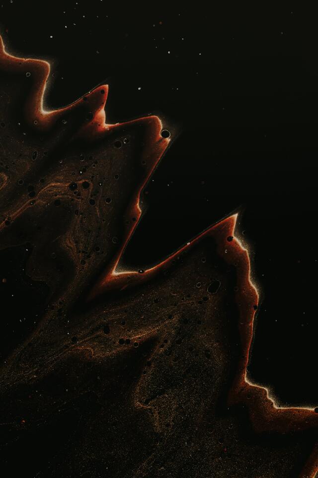 Обои 2026-03-18 №81426