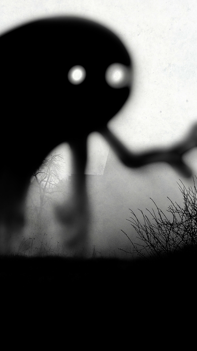 Обои 2026-03-19 №81448