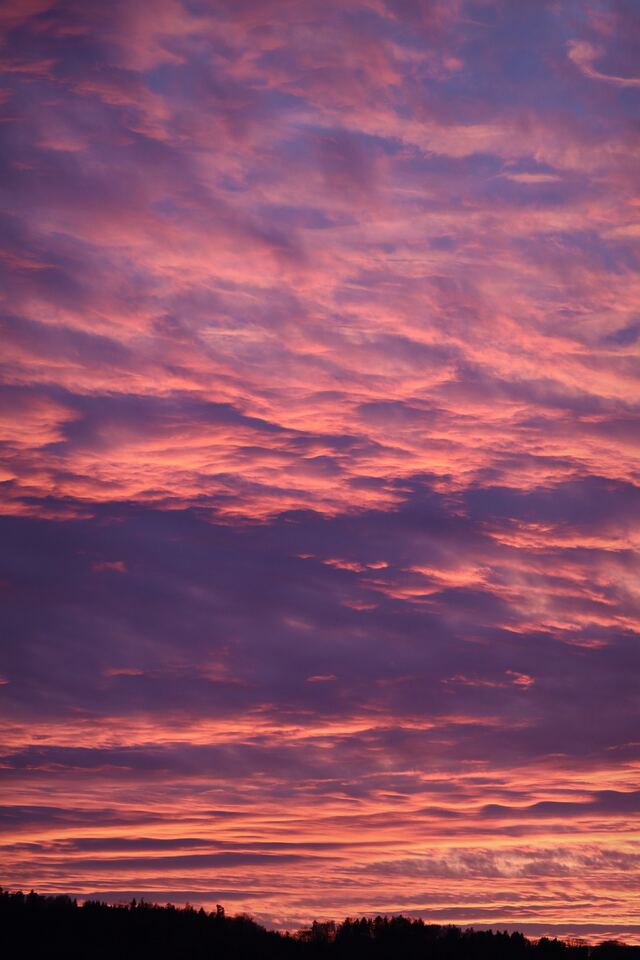 Обои 2026-03-19 №81476