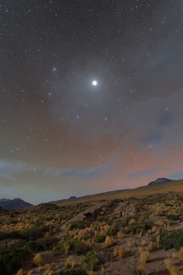 Обои 2026-03-20 №81488