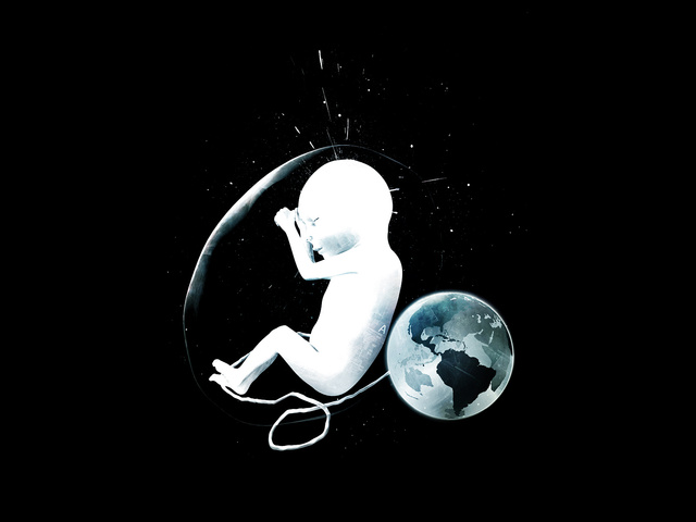 Обои 2026-03-20 №81500