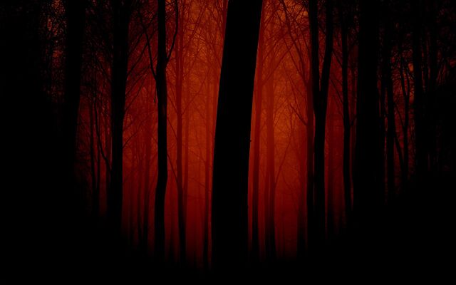 Обои 2026-03-20 №81509