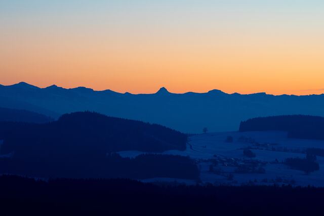 Обои 2026-03-20 №81507