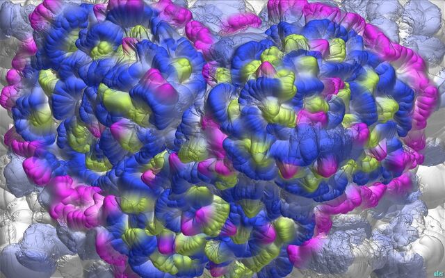 Обои 2026-03-21 №81517