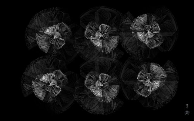 Обои 2026-03-21 №81525