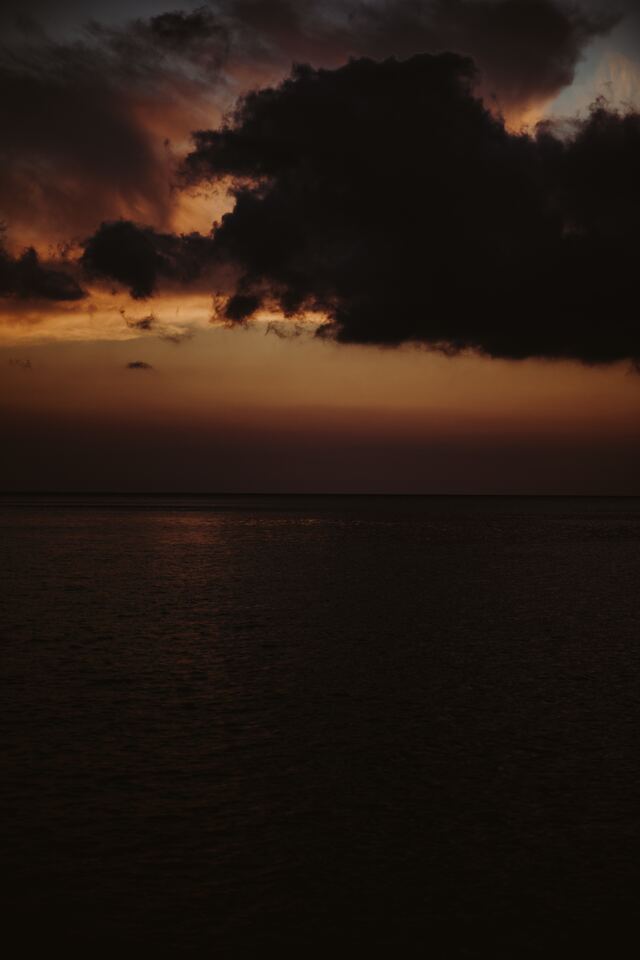 Обои 2026-03-21 №81542