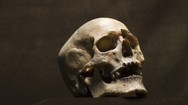 Обои 2026-03-22 №81585