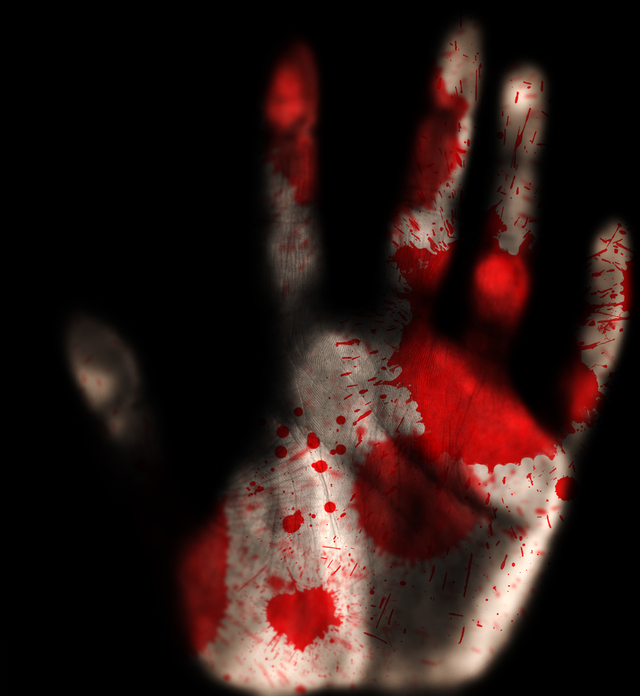 Обои 2026-03-22 №81591