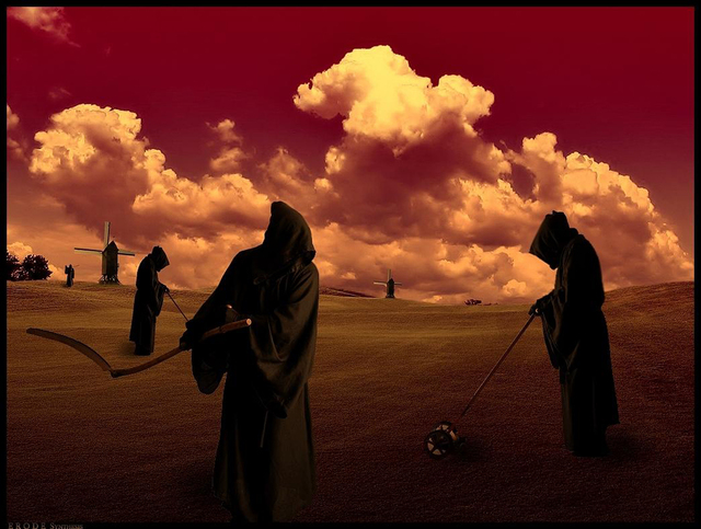 Обои 2026-03-22 №81589