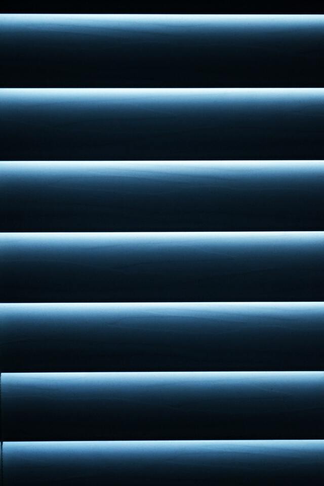 Обои 2026-03-22 №81608