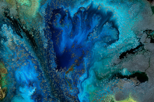 Обои 2026-03-23 №81616