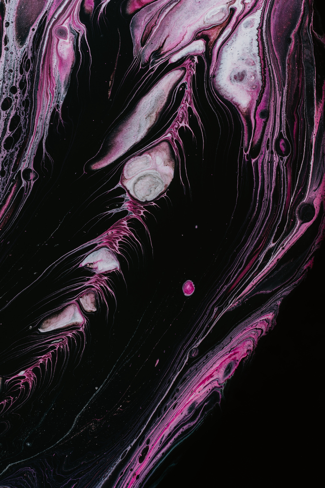 Обои 2026-03-23 №81641