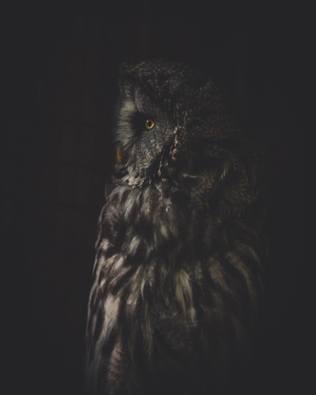 Обои 2026-03-24 №81686