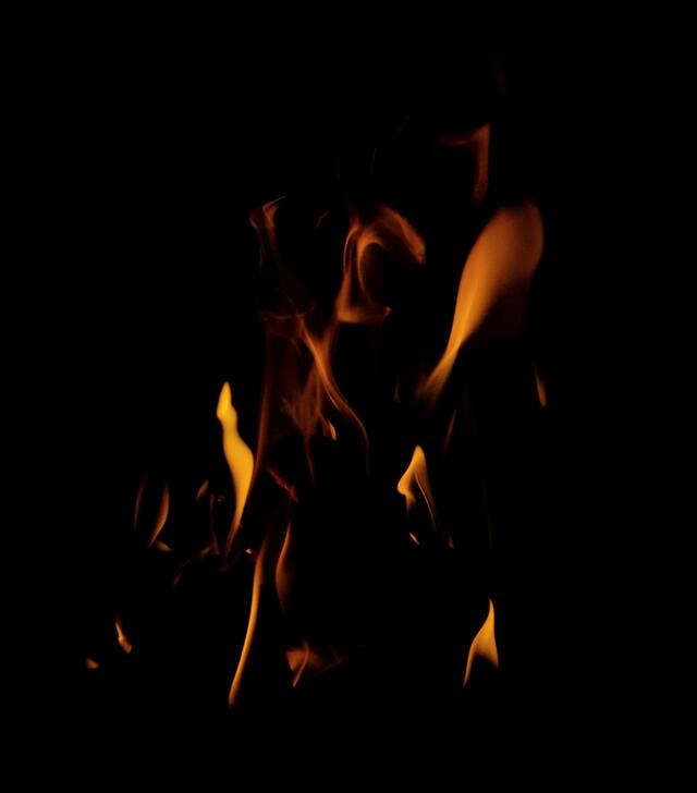 Обои 2026-03-24 №81684