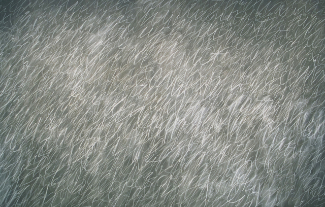 Обои 2026-03-24 №81705