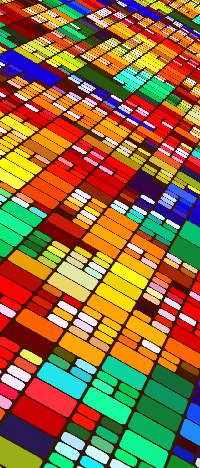 Обои 2026-03-25 №81707